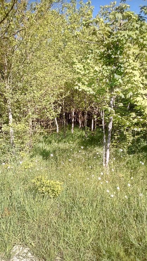 Domaine De Gentilly Bed & Breakfast Saint-Maurice-les-Charencey